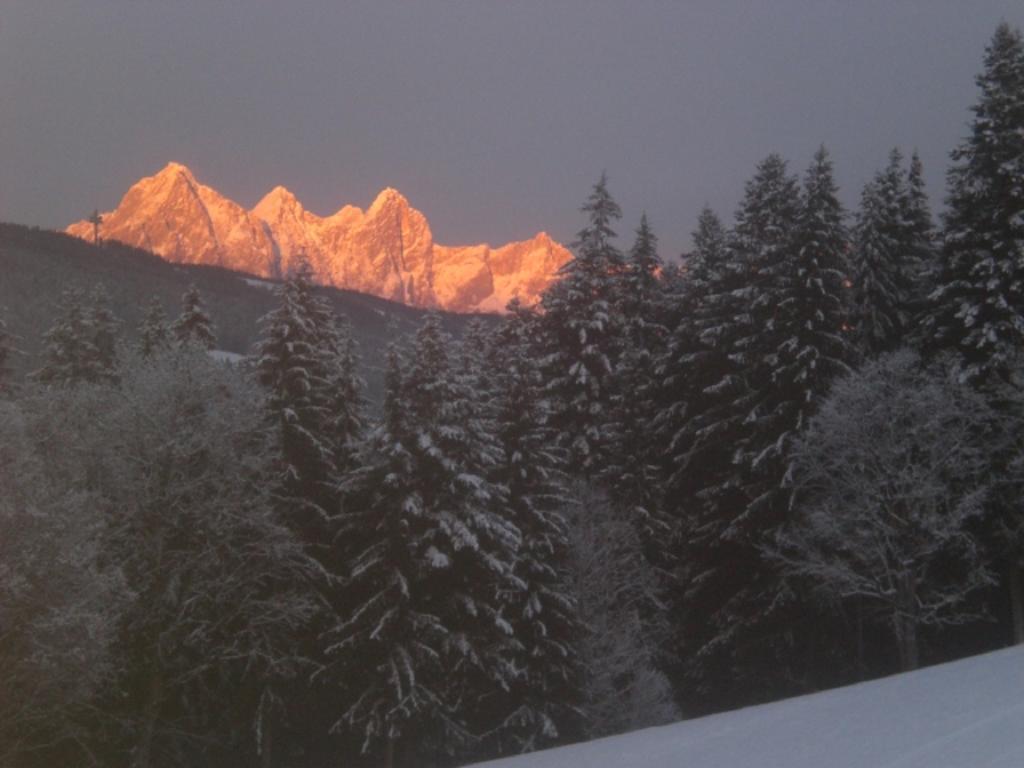 Lochgrubgut Apartamento Altenmarkt im Pongau Exterior foto