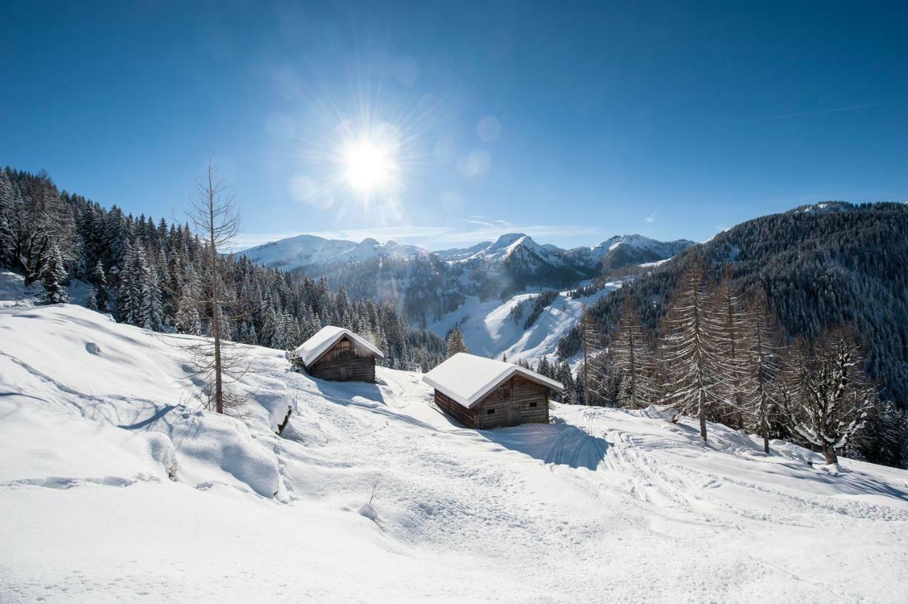 Lochgrubgut Apartamento Altenmarkt im Pongau Exterior foto